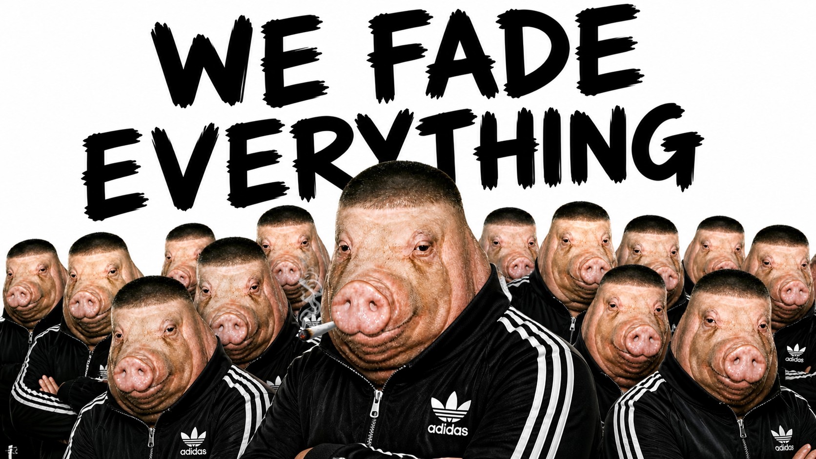 WE FADE EVERYTHING
